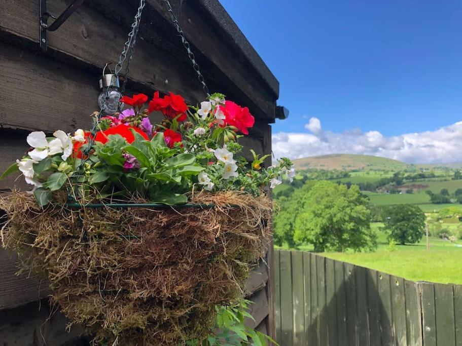 فيلا The Retreat Llanrhaeadr-ym-Mochnant المظهر الخارجي الصورة